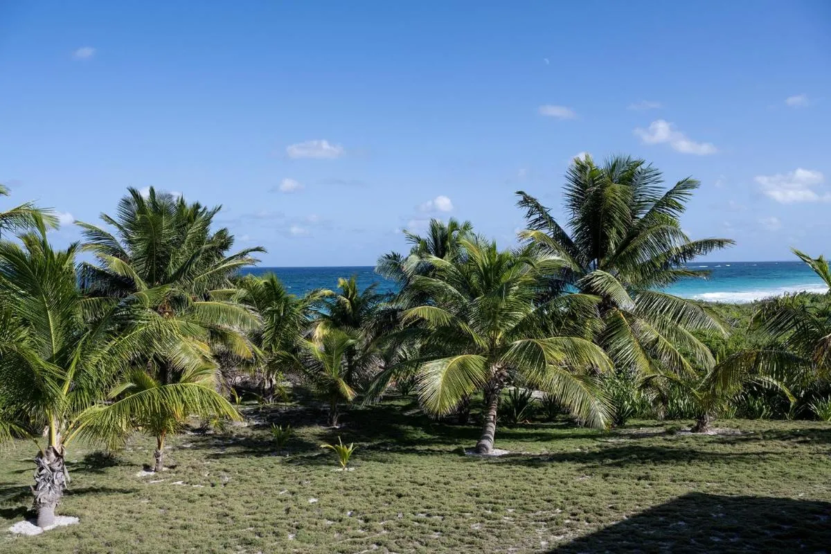 Image 3 of Atlantic Sunrise Villa villa