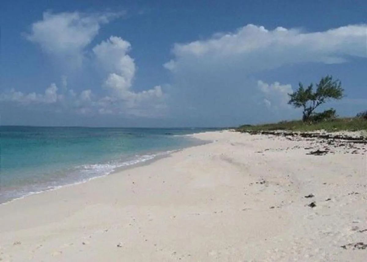 Image 2 of Buttonwood Reserve by Eleuthera Vacation Rentals