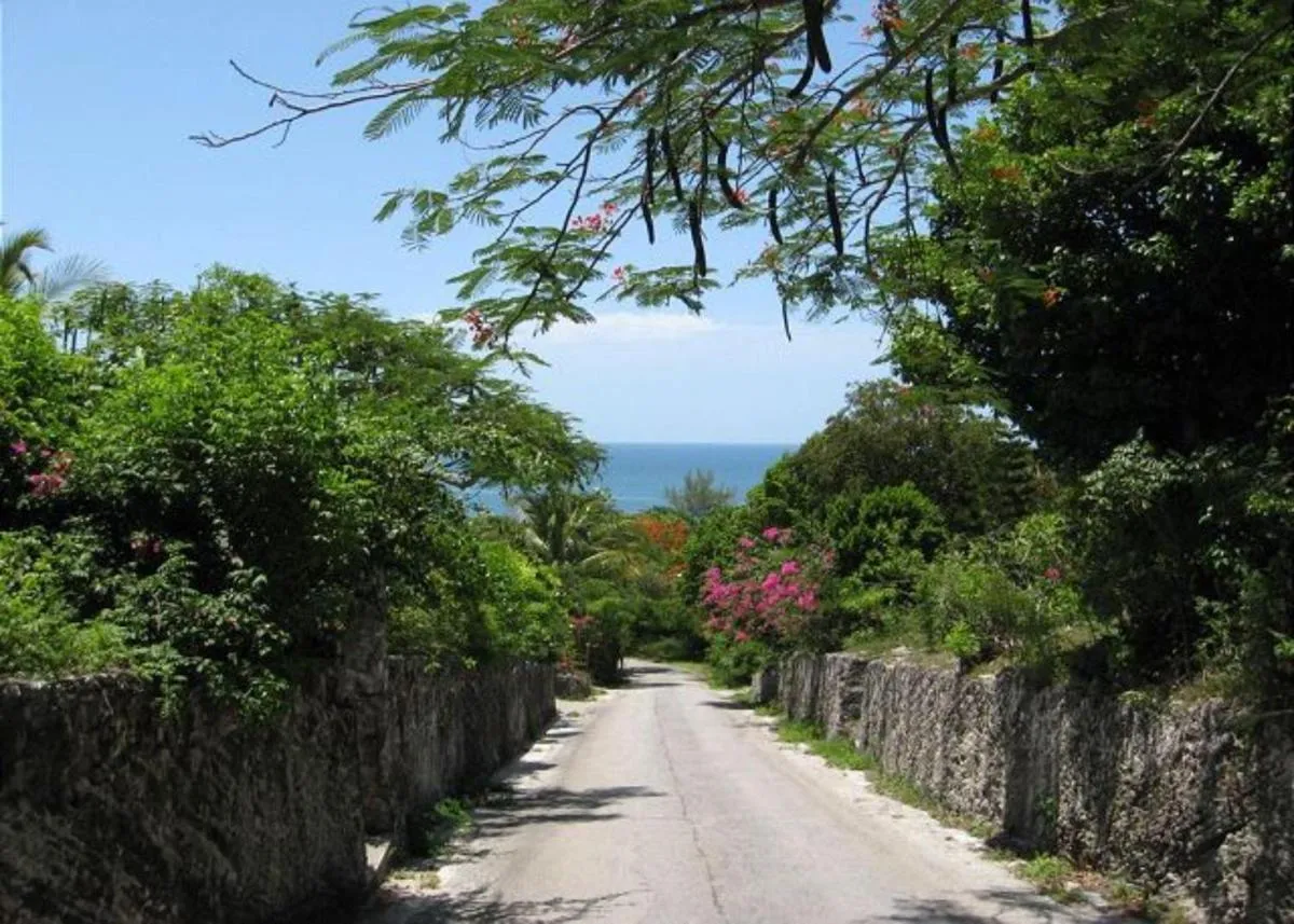 Image 6 of Buttonwood Reserve by Eleuthera Vacation Rentals