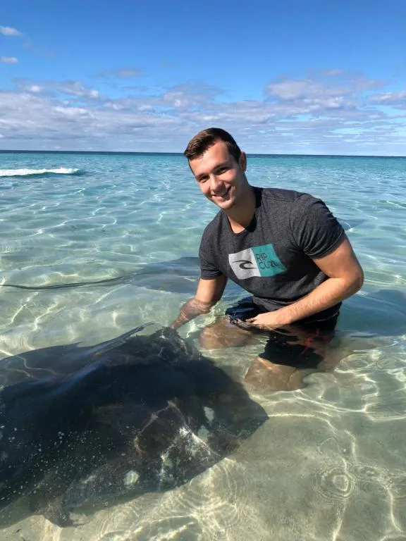 Image of Dolphin Cove