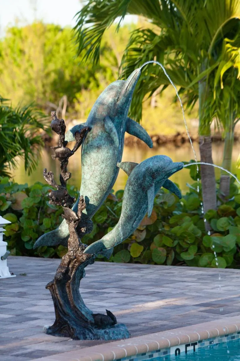 Image 3 of Dolphin Cove