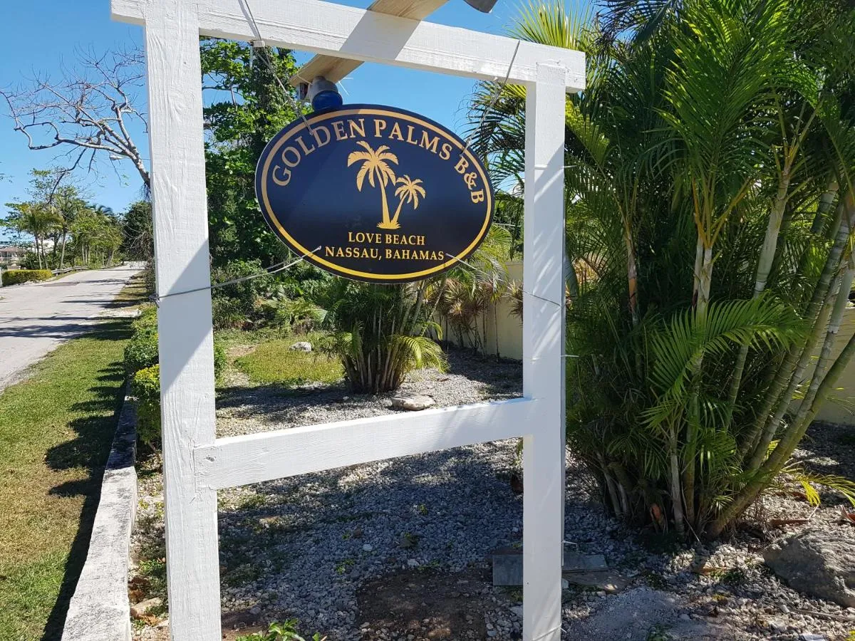 Image 4 of Golden Palms House