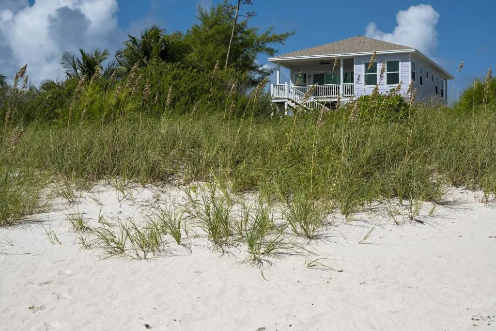 Image of Lavender Beach House home