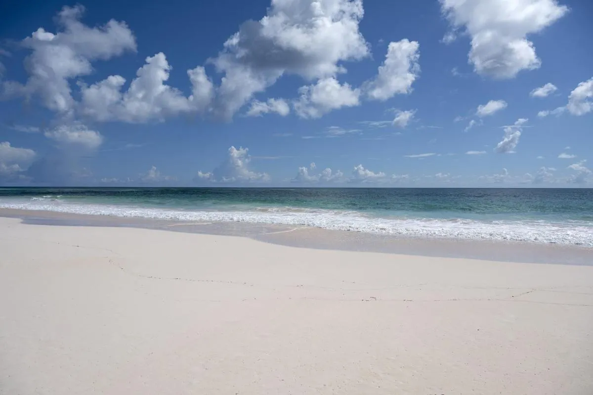 Image 1 of Lavender Beach House home
