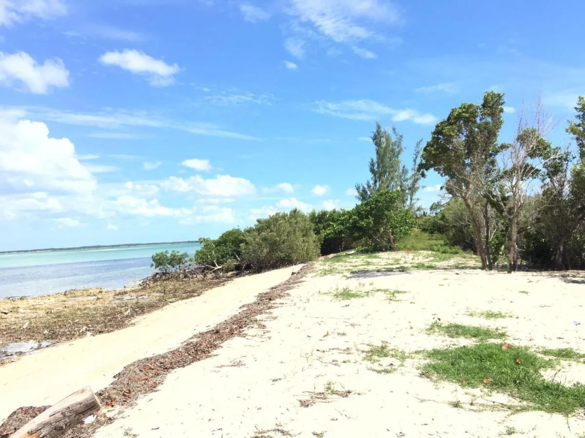 Image 5 of Mangrove Cay Sea View Villas