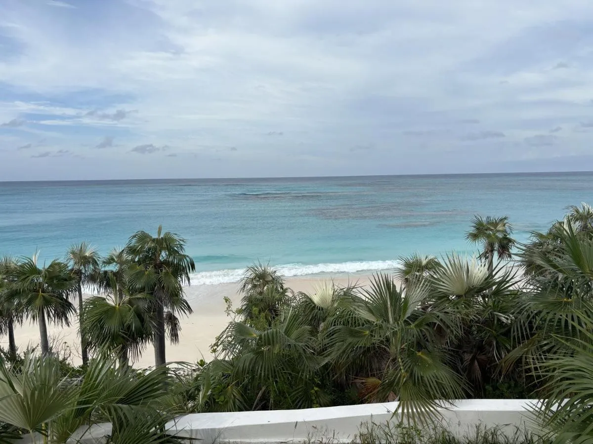 Image 6 of Pink Sands Point estate