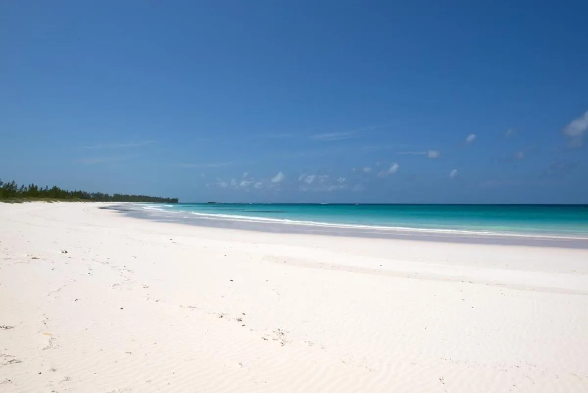 Image 1 of Salty Dolphin home