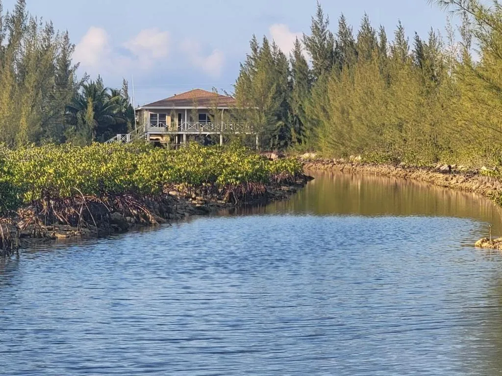 Image of Scena’s Place