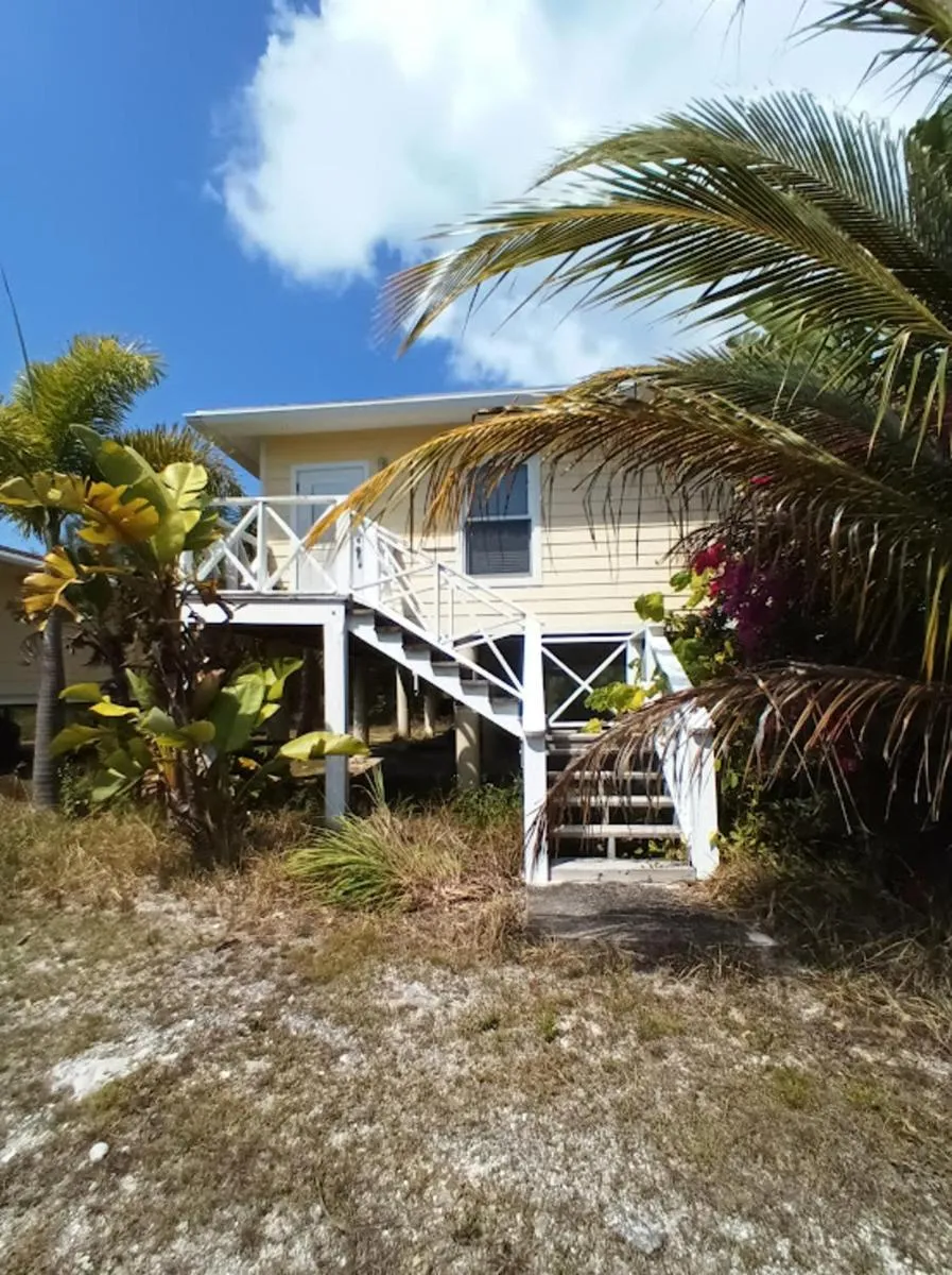 Image 4 of Scena’s Place