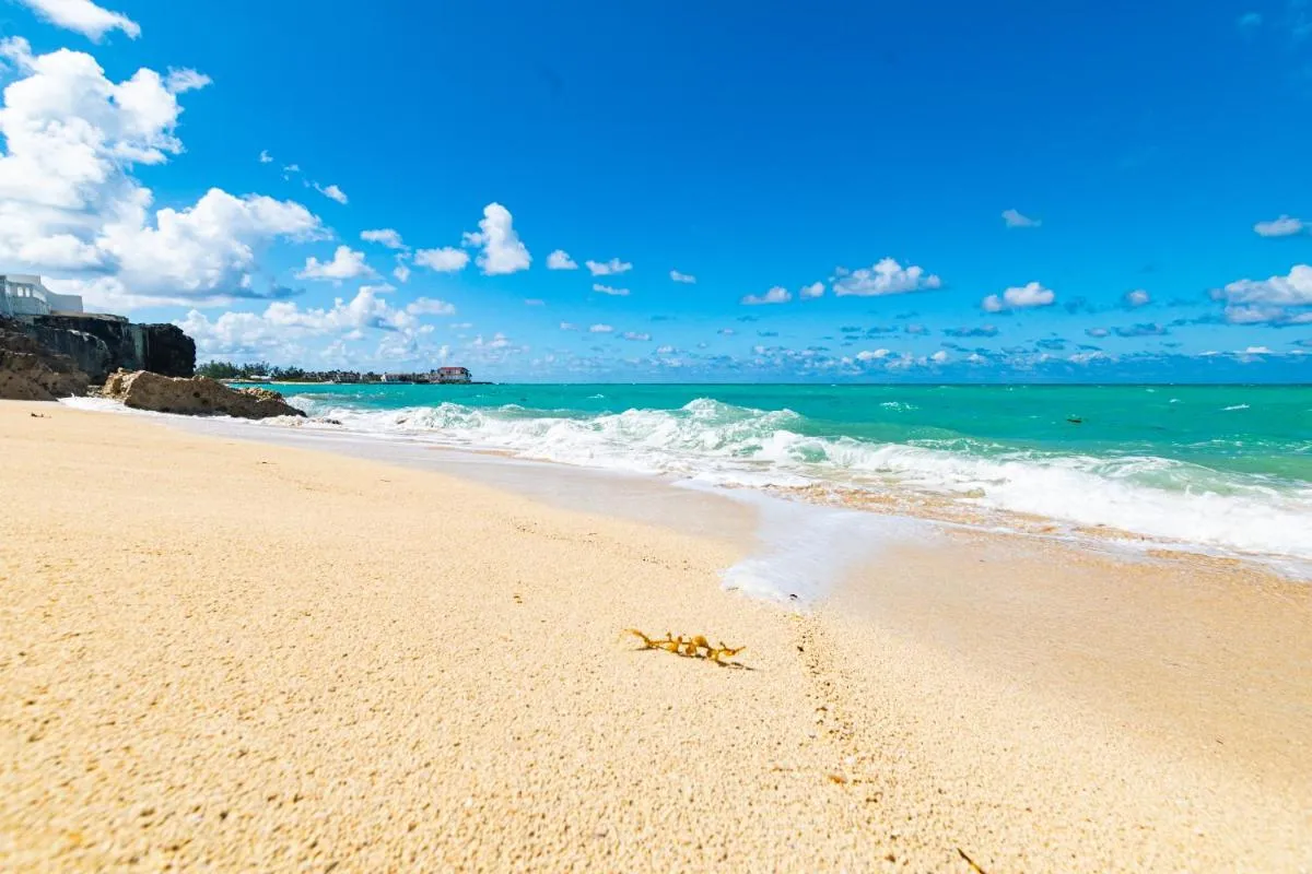 Image 5 of Studio 7 – Oceanfront Apartment
