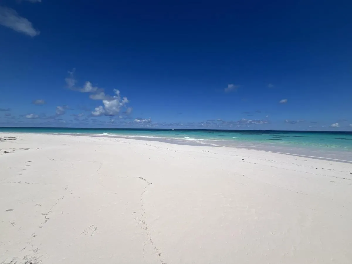 Image 2 of The Beach Bungalow – One home
